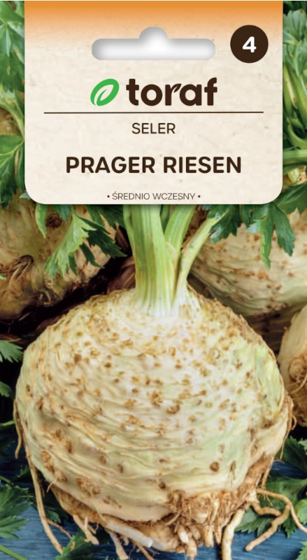 Toraf Seler Korzeniowy Prager Riesen nasiona do siewu sklep rajogrodnika